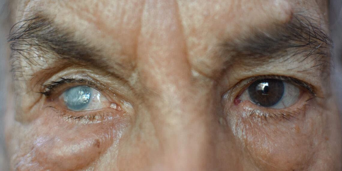 El Gobierno de México ha lanzado el programa "Ver por México"