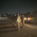 Comienza el despliegue de 10 mil soldados mexicanos a la frontera con Estados Unidos