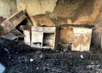 De acuerdo con vecinos del sector, Saladino vivía solo