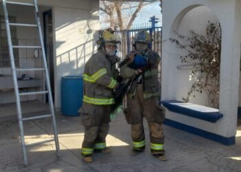 Bomberos rescatan un pavo real en la colonia El Futuro y lo trasladan a atención veterinaria