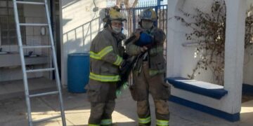 Bomberos rescatan un pavo real en la colonia El Futuro y lo trasladan a atención veterinaria