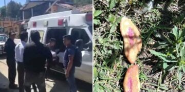 De acuerdo con los habitantes, el pasado miércoles, las autoridades ejidales de la comunidad ordenaron arrojar pan con veneno para erradicar a los perros callejeros.