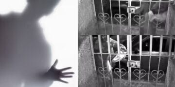 Mujer intenta robar una casa y se lleva 'el susto de su vida' al confundir al dueño con un fantasma