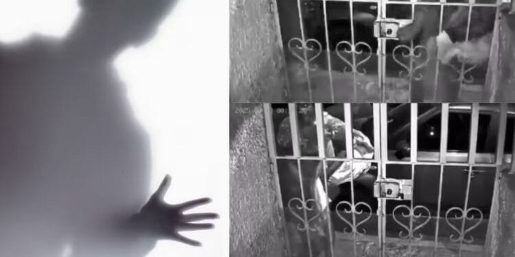 Mujer intenta robar una casa y se lleva 'el susto de su vida' al confundir al dueño con un fantasma