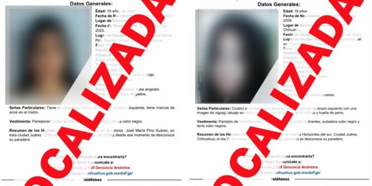 La Fiscalía Especializada en Atención a Mujeres Víctimas del Delito por Razones de Género y a la Familia (FEM)