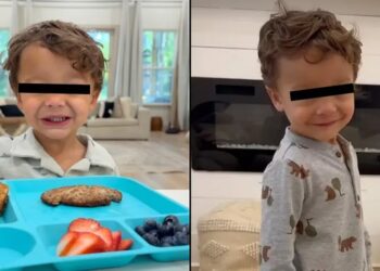 La familia desmiente errores en la instalación de la silla infantil; la comunidad digital llora la pérdida del pequeño de 2 años, ícono de ternura en TikTok.