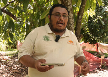 MEX019. TAPACHULA (MÉXICO), 16/04/2025.- El gerente de producción agroecológica de la cafetalera San Francisco de Asís, Iván Román Noriero, habla durante una entrevista con EFE este miércoles, en el municipio de Tapachula en Chiapas (México). Organizaciones de productores de café de Chiapas reanudaron la exportación de café a Estados Unidos, destino del 60 % de las ventas externas de este producto, tras la incertidumbre arancelaria del presidente estadounidense, Donald Trump. EFE/Juan Manuel Blanco