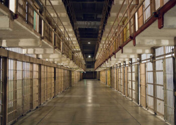 Prison provides an opportunity for networking with more seasoned criminals.