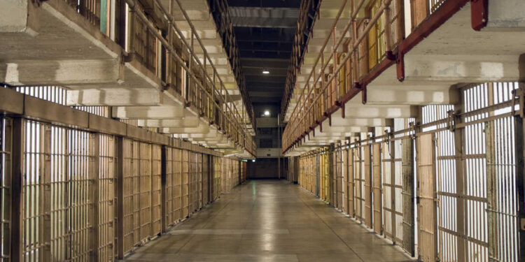 Prison provides an opportunity for networking with more seasoned criminals.