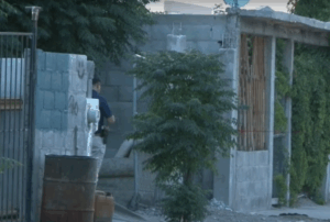 Mataron a adolescente de 15 años en su casa. Noticias en tiempo real