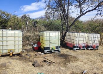 0
	0
	
	0
	
	0
	
	0
	
	0
	
	
	
	
	
	
	
	0
	2/12/2024 1:31:19 PM
	0
	1
	0
	0
	0
	0
	0
	0
	0
	1
	
	
	0
	
	618
	238