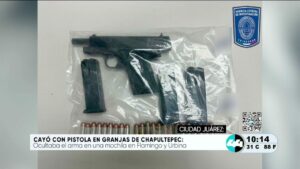 Cayo con pistola en Granjas de Chapultepec. Noticias en tiempo real