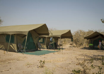 Campamentos Lujo Mopane Game Safari