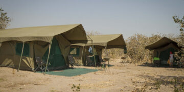 Campamentos Lujo Mopane Game Safari