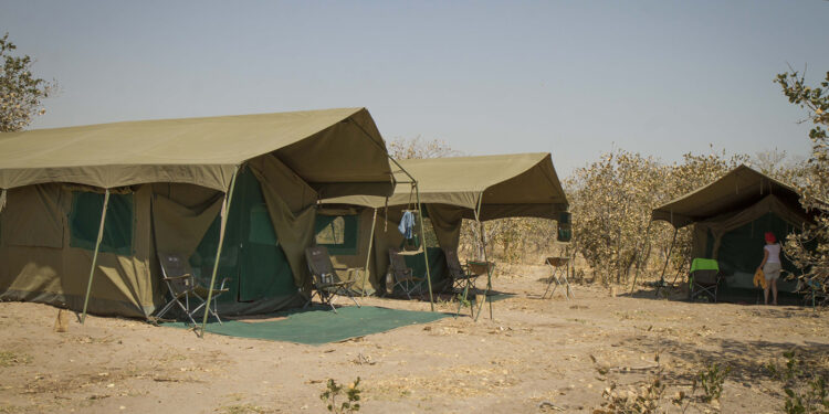 Campamentos Lujo Mopane Game Safari