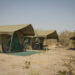 Campamentos Lujo Mopane Game Safari