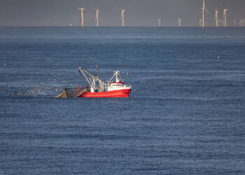 A cutter with lifted drag nets on the North sea with wind turbines in the background