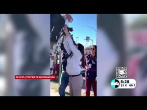 Rescatan a gato atrapado en cables. Noticias en tiempo real