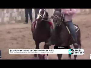 El ataque en carril de caballos fue en vivo. Noticias en tiempo real