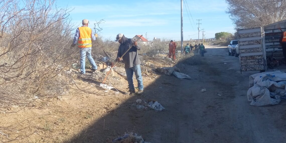 Limpian Samalayuca tras solicitudes de vecinos; retiran bolsas y residuos que invadían calles