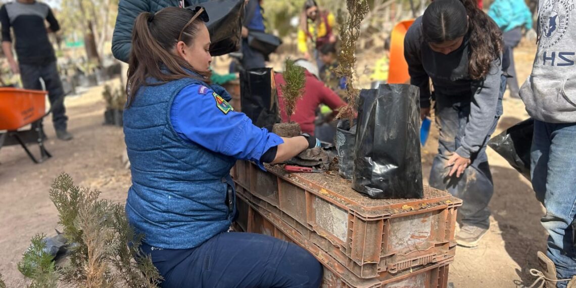 Más de 6 mil horas de voluntariado fortalecen el Vivero de El Chamizal