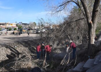 Juárez Amanece Limpio retira más de 13 mil llantas y miles de toneladas de residuos en una jornada
