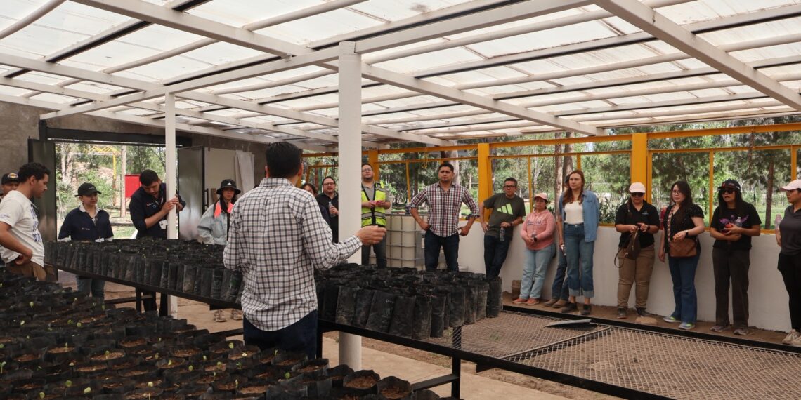 Impulsan reforestación en El Chamizal con apoyo de voluntarios y empresas