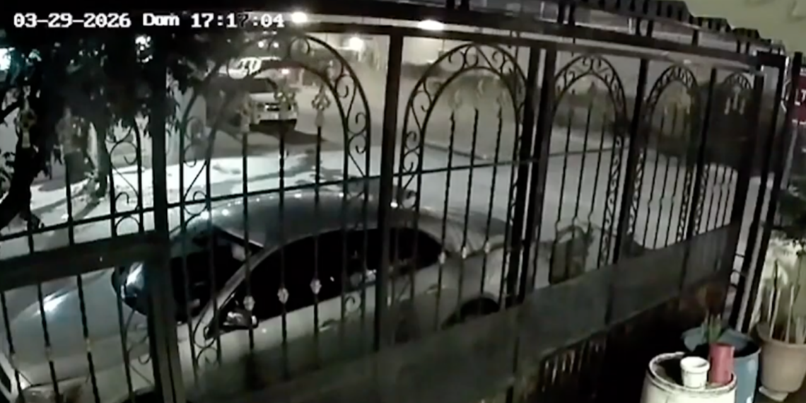 Conductor ebr.o derriba 10 árboles tras choque en Praderas de los Oasis y huye del lugar