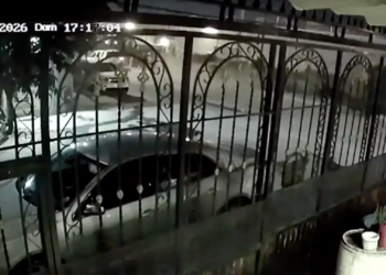 Conductor ebr.o derriba 10 árboles tras choque en Praderas de los Oasis y huye del lugar