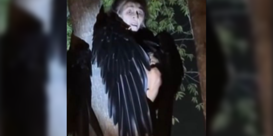 “Bruja” en árbol causa pánico en redes; video resulta ser creado con inteligencia artificial