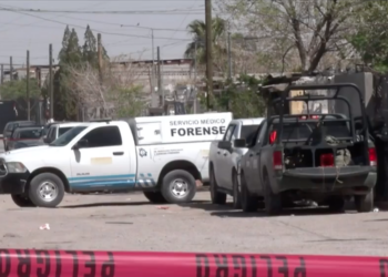 Localizan osamenta humana durante cateo en vivienda de Campestre Virreyes