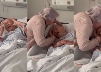 Conmueve en redes la despedida de un hombre de 90 años que murió en brazos de su esposa