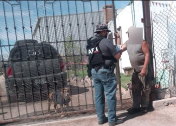 Operativo en el sector de los Kilómetros por caso de 1nfanticidi0; buscan pistas sobre menor encontrado s1n v1da