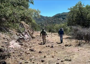 Localizan restos humanos durante operativo de rastreo en carretera Parral–Guadalupe y Calvo