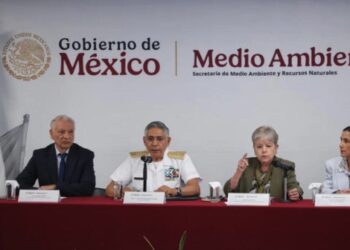 Indagan derrame petrolero en Golfo de México; apuntan a buque y fuentes naturales