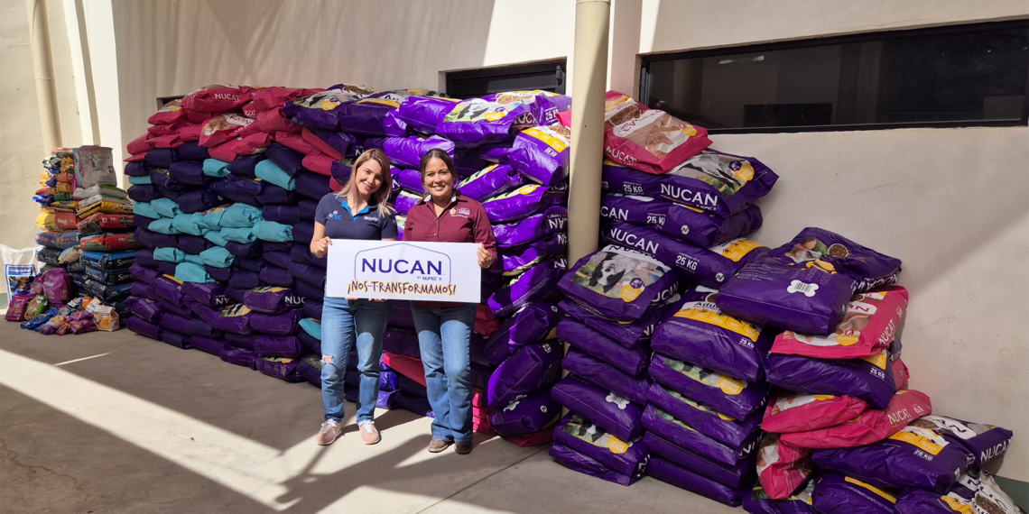 Recaudan más de 4 toneladas de alimento en Carrera con Mascotas en El Chamizal