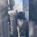 Incendio en Midtown Manhattan previo al desfile de San Patricio moviliza a bomberos