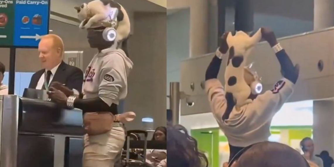 Hombre sorprende en aeropuerto al llevar a su gata sobre la cabeza en pleno mostrador