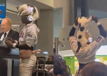 Hombre sorprende en aeropuerto al llevar a su gata sobre la cabeza en pleno mostrador