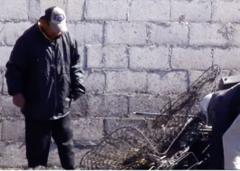 Incendio arrasa vivienda tras corto circuito en tarimas; familia pide apoyo para reconstruir