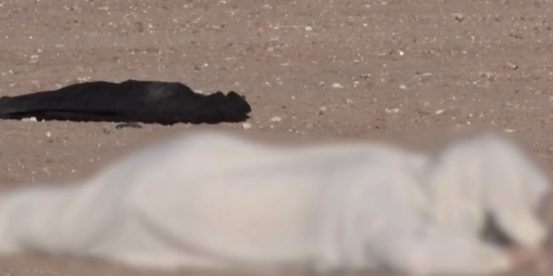 Mu.re motociclista en la Villarreal Torres; investigan atr.pello con fuga y desaparición de la unidad