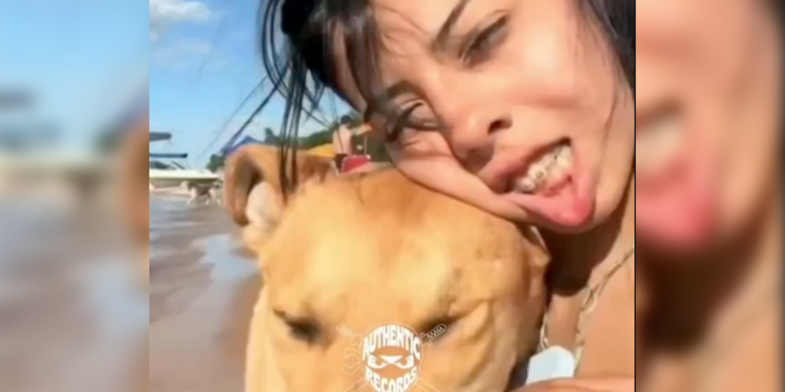 Perrito interrumpe grabación en la playa y provoca momento viral en redes