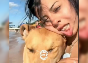 Perrito interrumpe grabación en la playa y provoca momento viral en redes