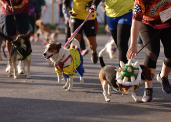 Juarenses disfrutan la 3era Carrera con Mascotas en El Chamizal
