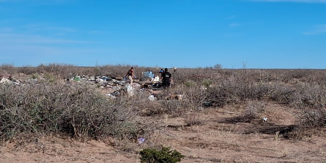 Localizan cuerpo calcinado en brecha cercana al cruce de Vialidad Central y Novena