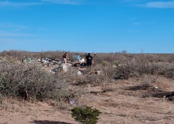 Localizan cuerpo calcinado en brecha cercana al cruce de Vialidad Central y Novena