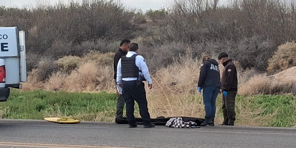 Adulto mayor pierde la v1da tras ser @tropellado en la carretera Juárez–Porvenir
