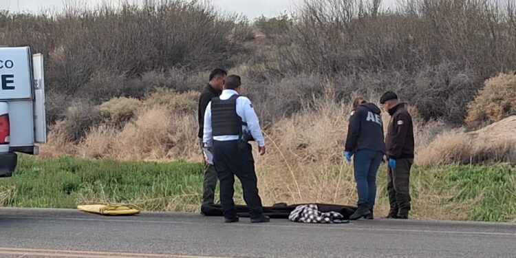 Adulto mayor pierde la v1da tras ser @tropellado en la carretera Juárez–Porvenir