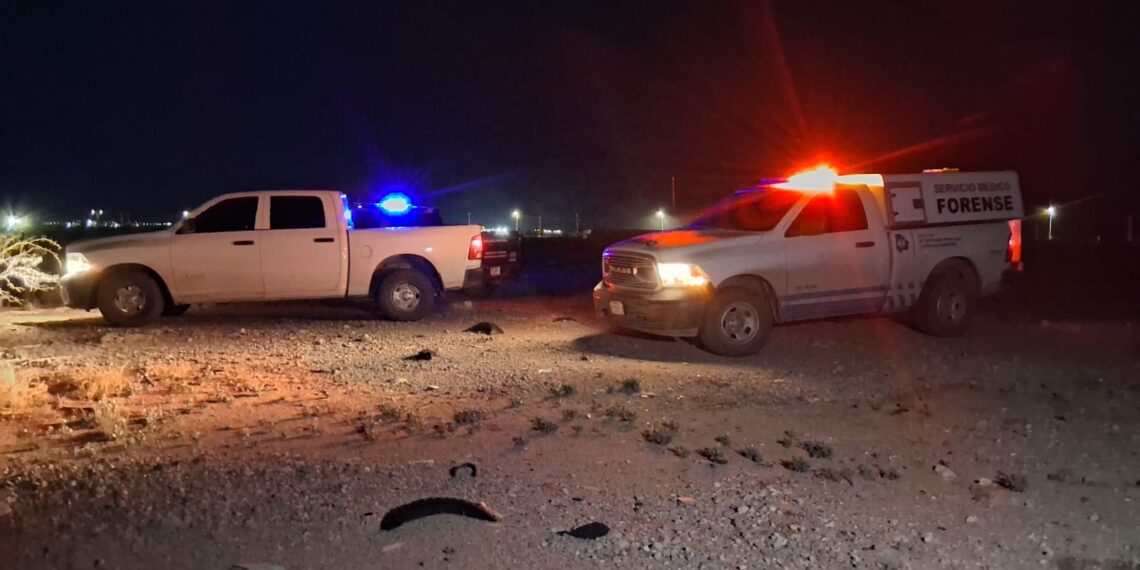 Localizan a menor sin vida en lote baldío del km 27 de la carretera Casas Grandes
