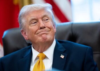 Trump sugiere dejar solos a aliados para presionar reapertura del estrecho de Ormuz